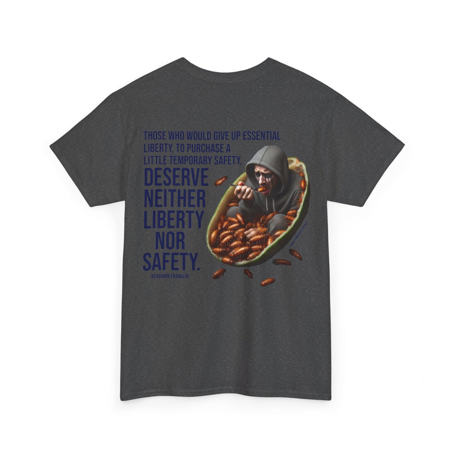 Liberty Nor Safety Back