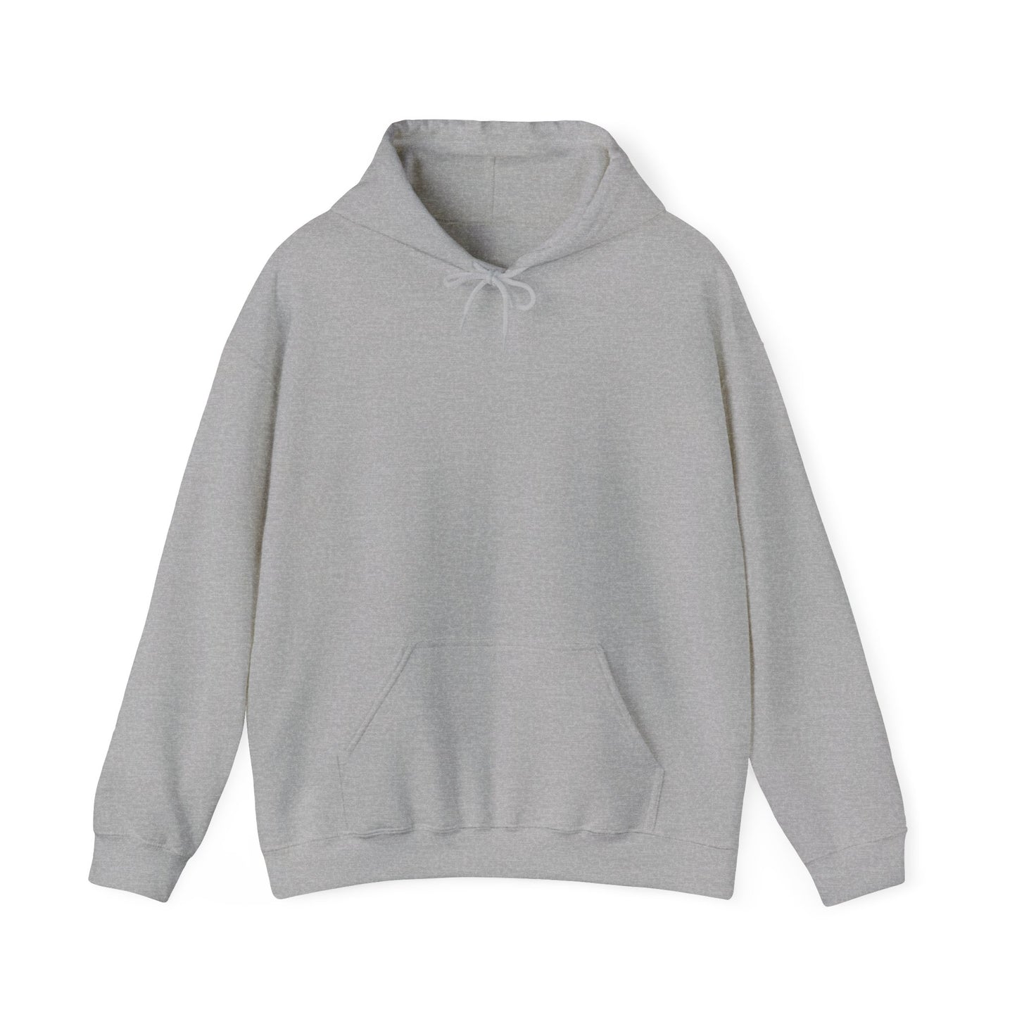 Liberty Nor Safety Hoodie Back